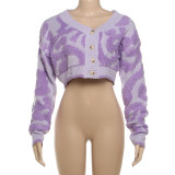 SC Long Sleeve V Neck Knits Sweater GZJQ-W23C33160