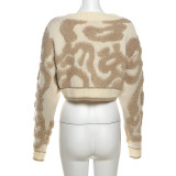 SC Long Sleeve V Neck Knits Sweater GZJQ-W23C33160