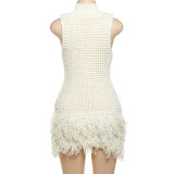 SC Sleeveless Tassel Patchwork Mini Dress DLSF-W24D52435