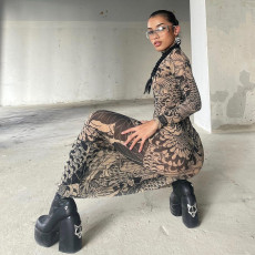 SC Mesh Print See Through Long Sleeve Maxi Dress DLSF-K23D33779