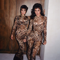 SC Leopard Print Long Sleeve Tight Jumpsuit DLSF-K24Q59682