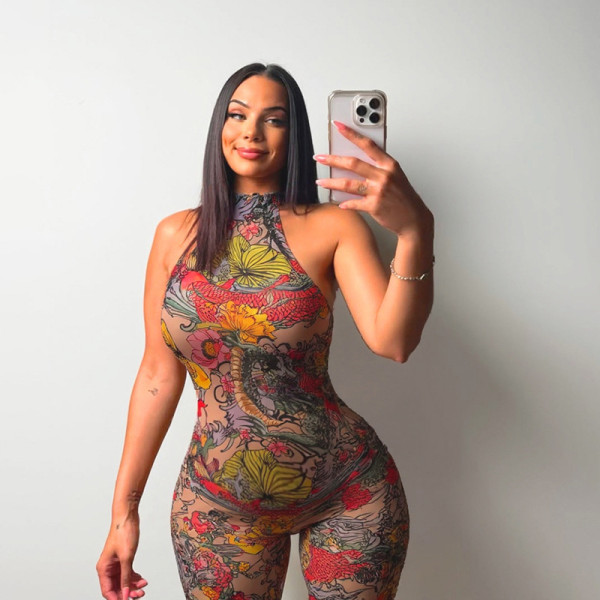 SC Mesh Floral Print Tight Backless Jumpsuit SHD-9540