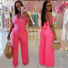 SC Halterneck Backless Tie Up Two Piece Pants Set BY-7461