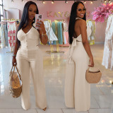 SC Halterneck Backless Tie Up Two Piece Pants Set BY-7461