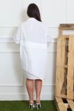 SC Long Sleeve Solid Color Shirt Dress(Without Belt) BS-1413