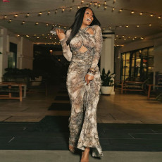 SC Snake Print Long Sleeve Hollow Out Maxi Dress GSLF-K25D74472