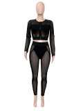 SC Casual Mesh Zipper Two Piece Pants Set SH-391418