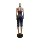 SC Stripe Sleeveless Lapel Two Piece Set GSMJ-6063