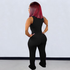 SC Plus Size V Neck Sleeveless Flare Pants 2 Piece Set LM-2156