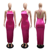 SC Solid Color Halterneck Sleeveless Maxi Dress CYA-901994