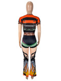 SC See Through Mesh Print Two Piece Pants Set SHD-9553