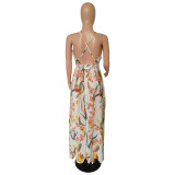 SC Deep V-neck Backless Chiffon Maxi Dress NK-8212