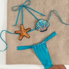 SC Sexy Shell Bikini Two Piece Swimsuit DYSC-DY24A2324YYB102924