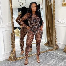 SC Leopard Mesh Print See Through Jumpsuit BY-7541