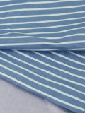SC Plus Size Long Sleeve Stripe Print Shirt Shorts 2 Piece Set HNIF-DHN124
