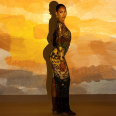 SC Print Patchwork Long Sleeve Split Maxi Dress DLSF-K25D81202