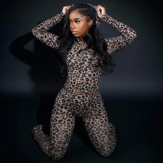 SC Leopard Print Hooded Sport Two Piece Pants Set DLSF-K25S82117