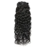 SC Human Hair Clip-On Hair Extensions 8-Piece Set JKLS-80245