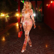 SC Hollow Out Print Mesh Jumpsuit MXBF-J25JP336