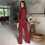 SC Long Sleeve Zipper Top Two Piece Pants Set YF-10921