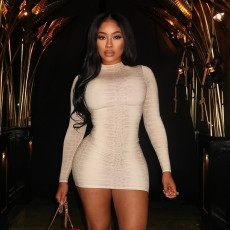 SC Snake Print Long Sleeve Mini Dress MXBF-J25DS369