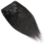 SC Human Hair Straight Clip In Extension Wig JKLS-80007
