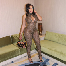 SC Leopard Mesh Hollow Out Tight Jumpsuit SHD-9752