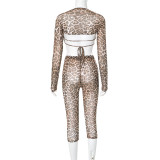 SC Leopard Mesh Print Long Sleeve Two Piece Pants Set GDSF-D24ST567