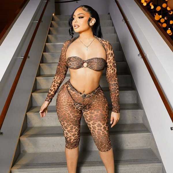 SC Leopard Mesh Print Long Sleeve Two Piece Pants Set GDSF-D24ST567