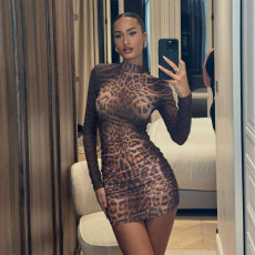 SC Leopard Print Long Sleeve Mini Dress GYME-K25D89757