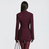 SC Deep V Neck Long Sleeve Ruched Mini Dress GAXB-W535DS
