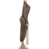 SC Leopard Print Deep V Neck Split Maxi Dress XEF-K25D76878
