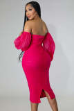 SC Plus Size Mesh Long Sleeve Midi Dress GHXF-HX0204