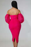 SC Plus Size Mesh Long Sleeve Midi Dress GHXF-HX0204