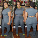 SC Plus Size Short Sleeve Solid Color Two Piece Pants Set OSIF-20735