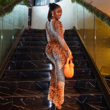 SC Leopard Print Long Sleeve Maxi Dress GJYO-303896