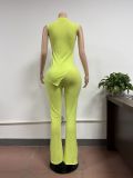 SC Sleeveless Solid Color Irregular Tops Pants Suit FSL-198