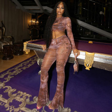 SC Long Sleeve Mesh Print Tops Two Piece Pants Set GJYO-919102