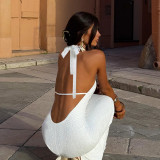SC Solid Color Sleeveless Backless Maxi Dress FL-25234