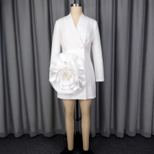 SC V Neck Long Sleeve Mini Dress GKEN-ADR051144