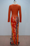 SC Long Sleevel Print Pleated Maxi Dress GANY-LB2359