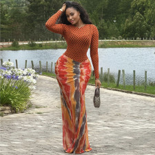 SC Long Sleevel Print Pleated Maxi Dress GANY-LB2359