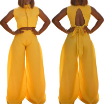 SC Solid Color Sleeveless Backless Tops Two Piece Pants Set OLYF-1971