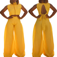 SC Solid Color Sleeveless Backless Tops Two Piece Pants Set OLYF-1971