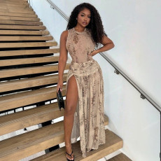 SC Snake Print Sleeveless Bodysuit Split Long Skirt 2 Piece Set GSZM-J26ST091