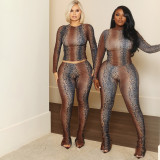 SC Snake Print Long Sleeve Two Piece Pants Set SHD-9972