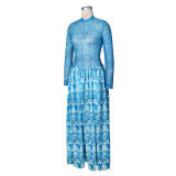SC Mesh Print Long Sleeve Maxi Dress ZSD-0777
