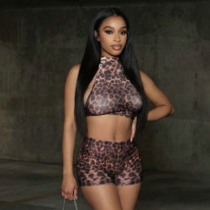 SC Leopard Print Tie Up Two Piece Shorts Set GDSF-J26ST137