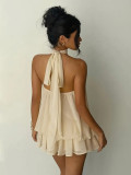 SC Sleeveless Backless Mesh Mini Dress GWSD-D1995166