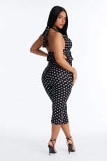 SC Polka Dots Print Halterneck Two Piece Pants Set SHD-9981